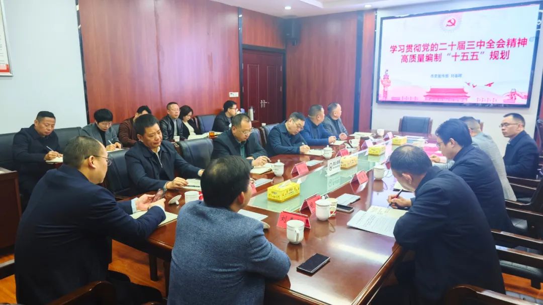 衡陽國投集團(tuán)黨委理論學(xué)習(xí)中心組（擴(kuò)大）舉行2025年第三次集體學(xué)習(xí)